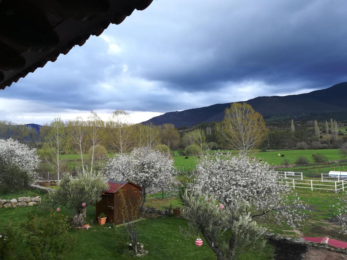 El Mirador del Gato I y II Mesegar de Corneja Exterior foto