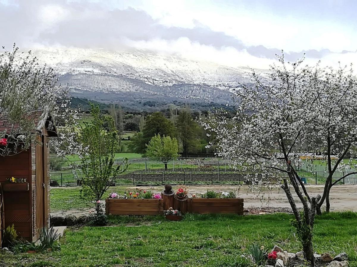 El Mirador del Gato I y II Mesegar de Corneja Exterior foto